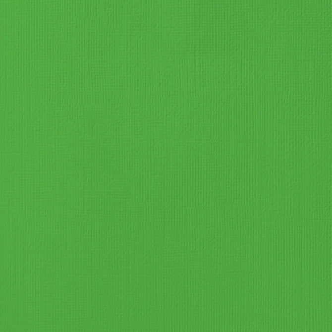 AC 12x12 Weave Cardstock - Grass