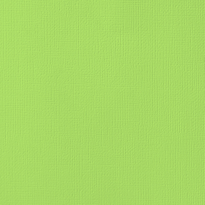 AC 12x12 Weave Cardstock - Key Lime