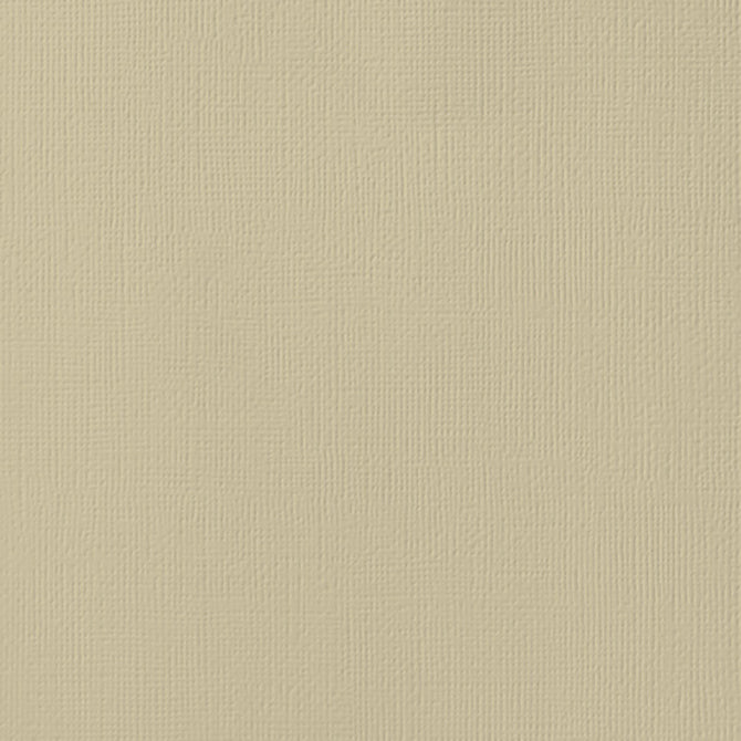 AC 12x12 Weave Cardstock - Sand