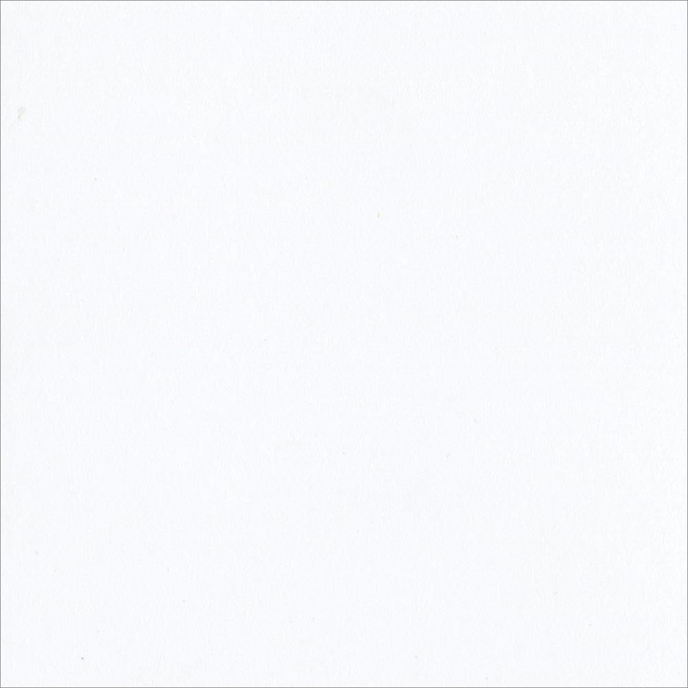 Bazzill Classic Cardstock 12"X12"