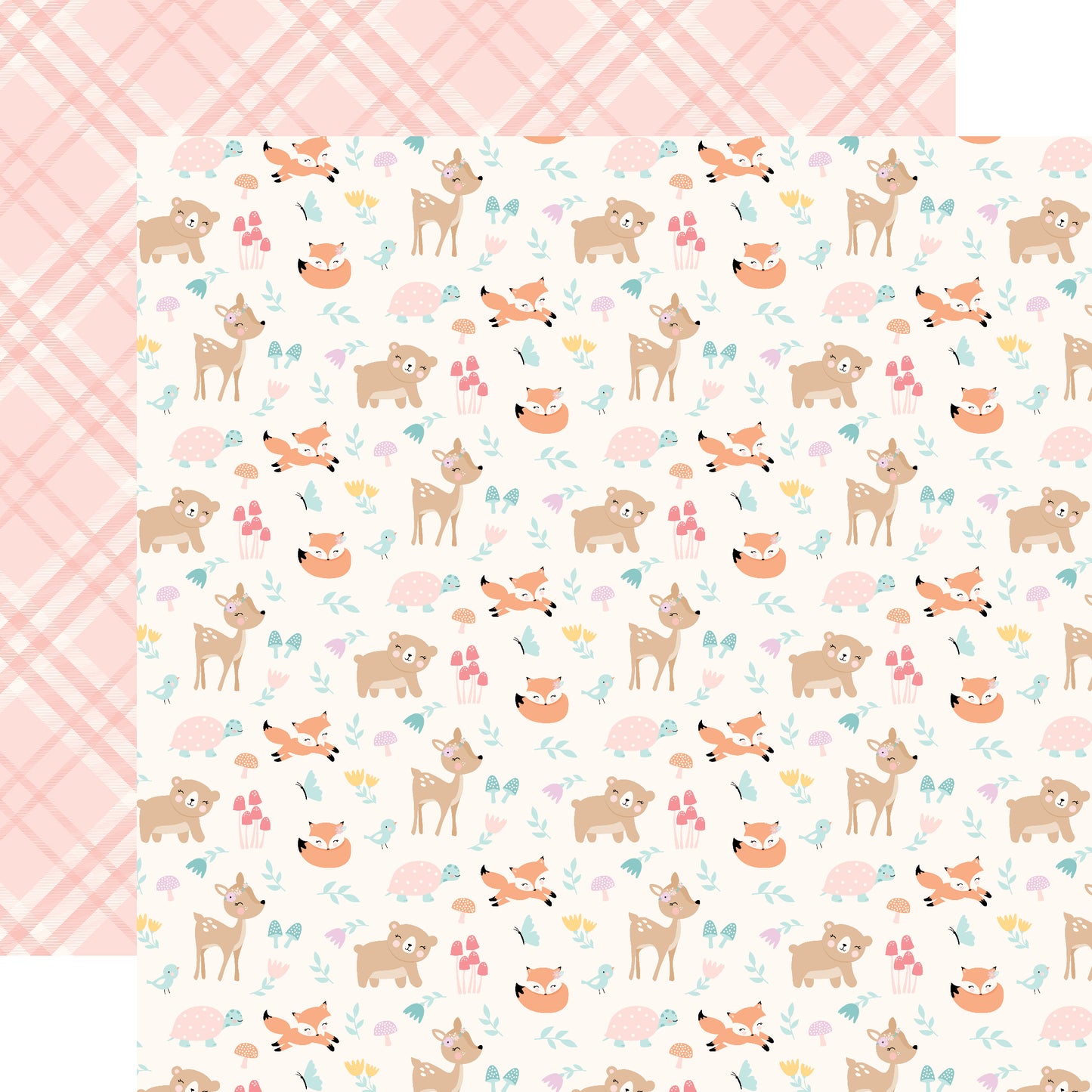 Hello Baby Girl Collection Kit