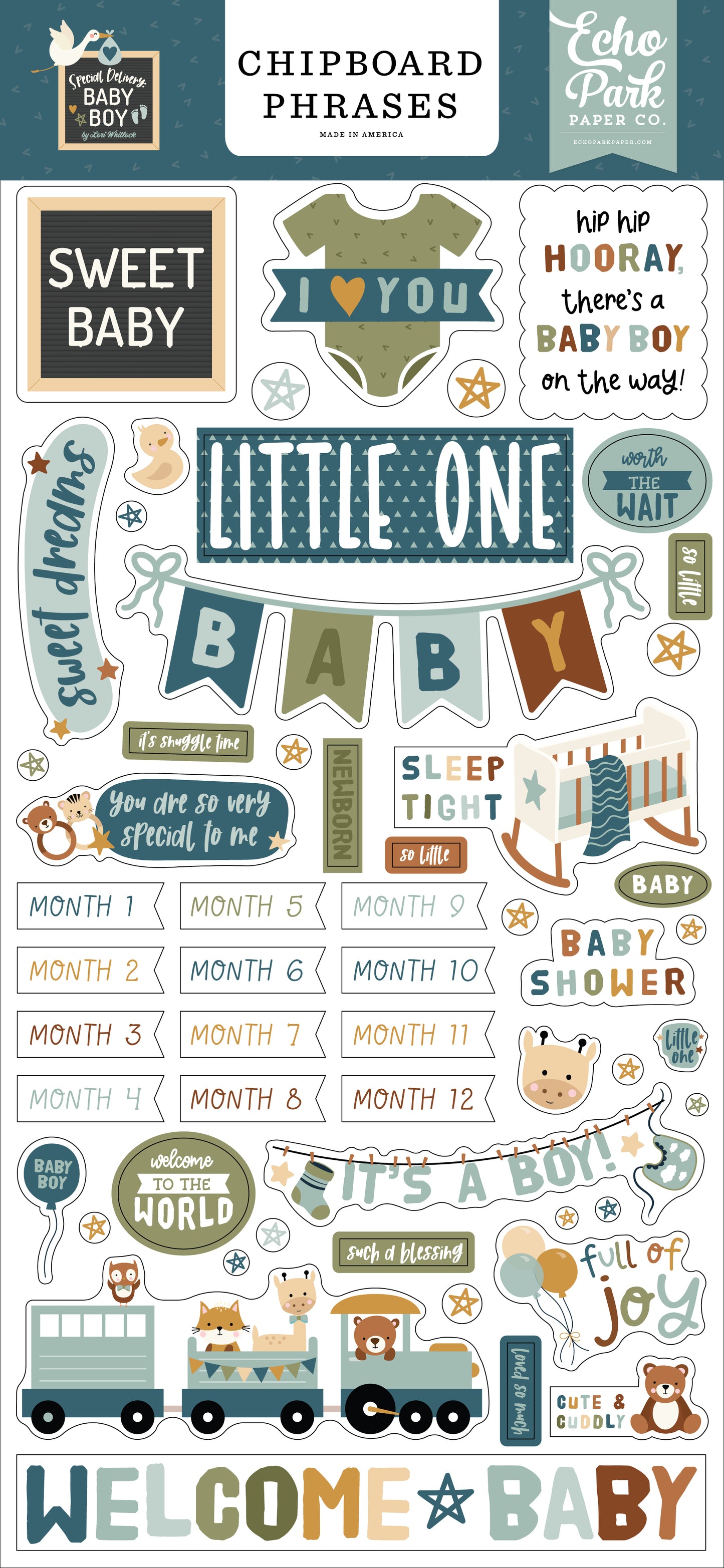 Special Delivery Baby Boy 6x13 Chipboard Phrases