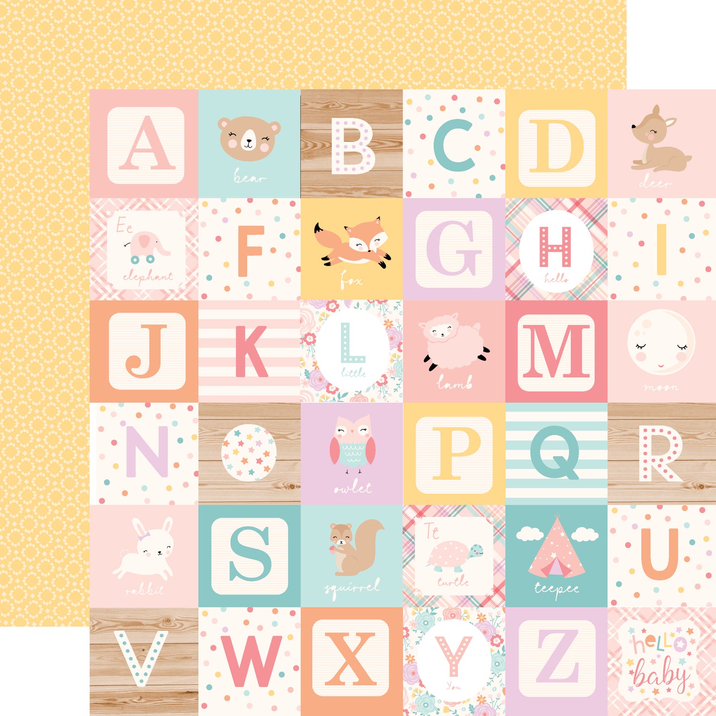 Hello Baby Girl Collection Kit