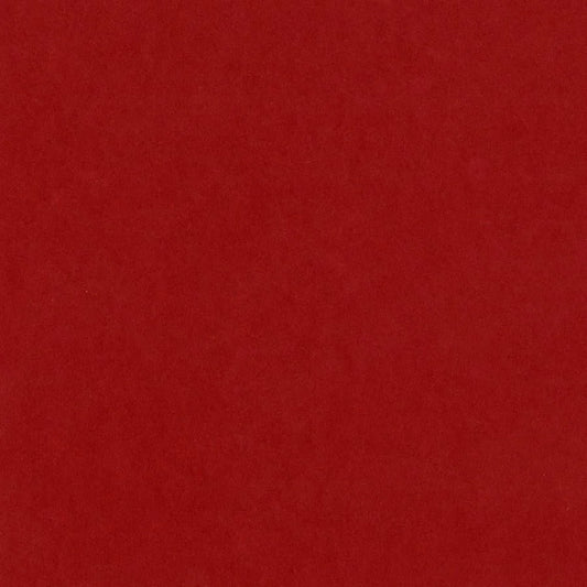 Bazzill Card Shoppe Heavyweight Cardstock 12"X12" - Peppermint