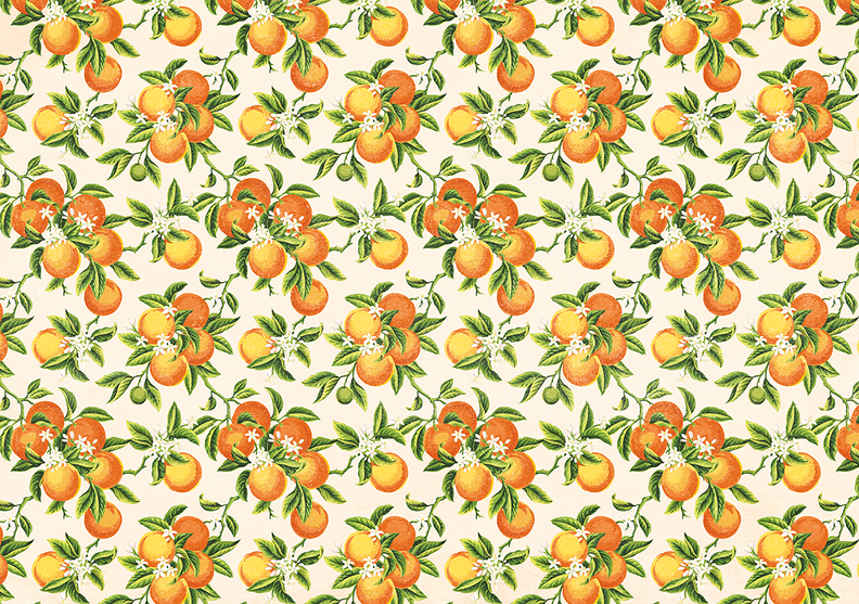 Speakeasy - Paper Press "Oranges" Decorative Paper