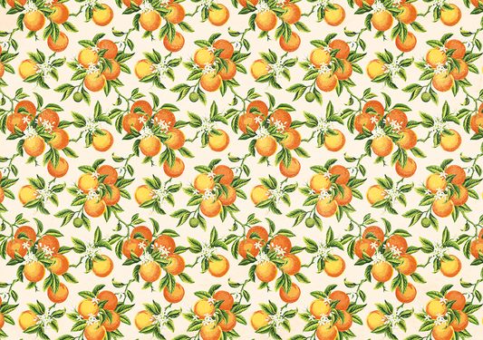 Speakeasy - Paper Press "Oranges" Decorative Paper