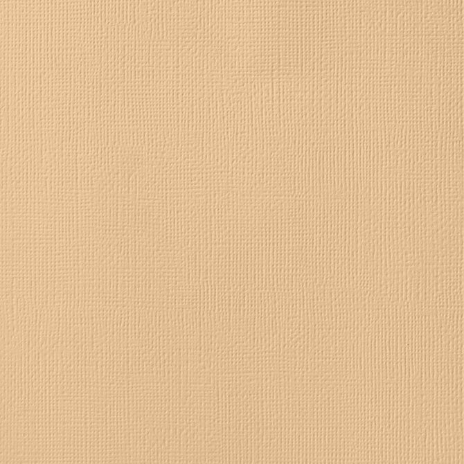 AC 12x12 Weave Cardstock - Latte