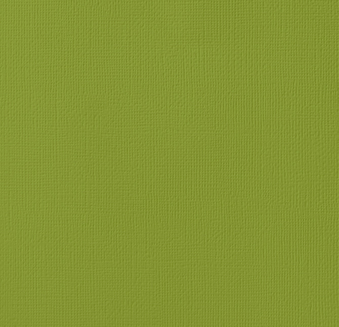 AC 12x12 Weave Cardstock - Leaf