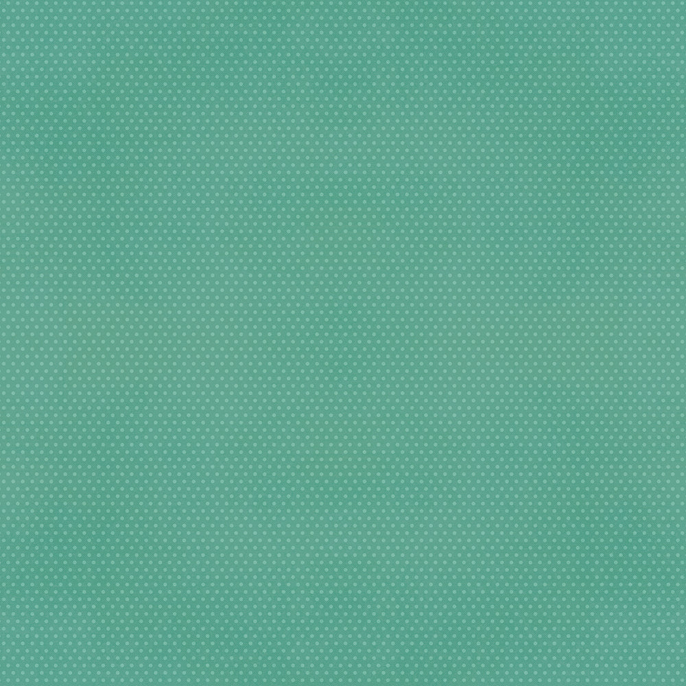 Color Vibe 12x12 Cardstock - Peacock